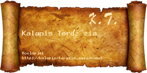 Kalapis Terézia névjegykártya