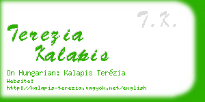 terezia kalapis business card